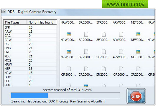 Digital Camera Data Recovery software