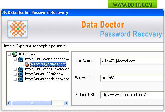 Internet explorer password recovery software